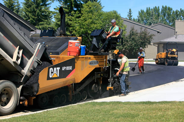 Best Local Driveway Pavers  in Calico Rock, AR